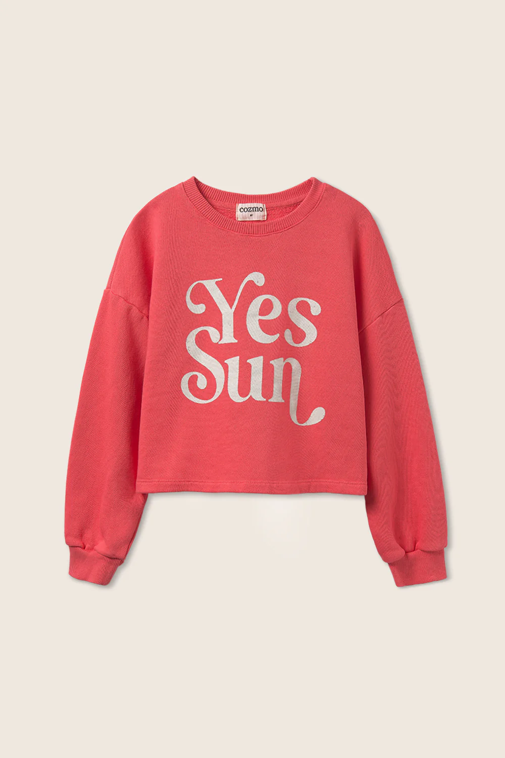 Cotton Fleece Print Puffed Sweatshirt - Image 5
