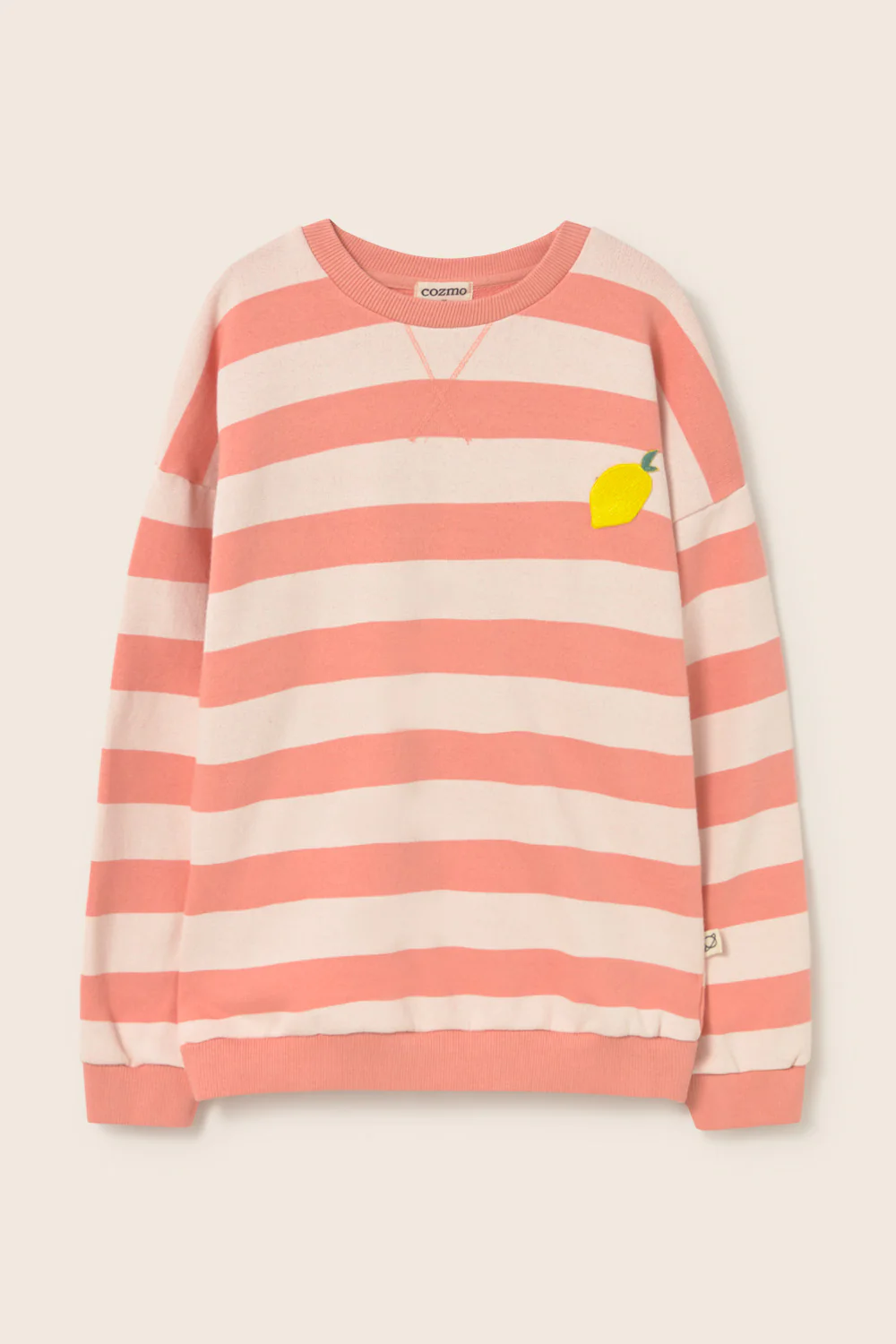 Striped Cotton Fleece Sweatshirt - Image 3